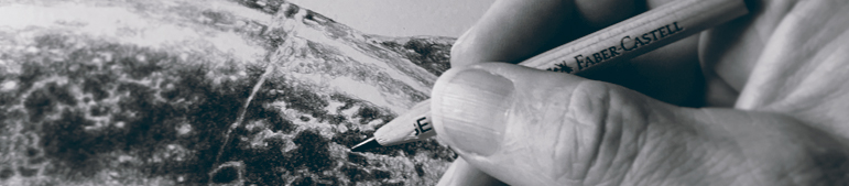 HEADER_KONTAKT_HAND.jpg